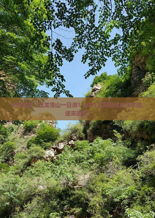 忻州去云南玉龙雪山一日
