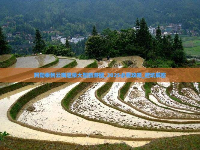阿勒泰到云南温泉大型旅游团