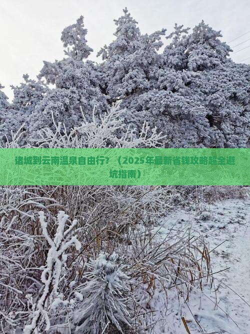诸城到云南温泉自由行 诸城到云南温泉自由行