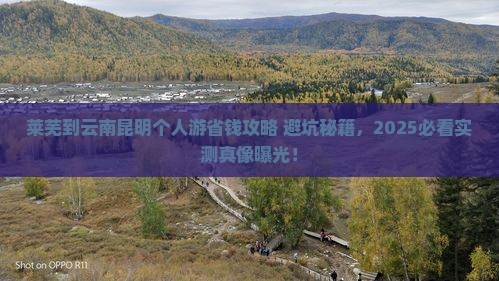 莱芜到云南昆明个人游