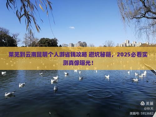 莱芜到云南昆明个人游