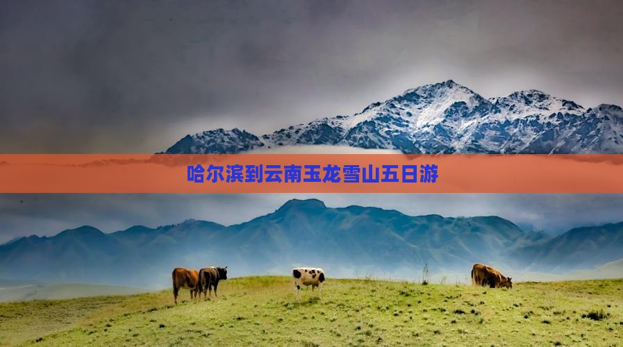 哈尔滨到云南玉龙雪山五日游