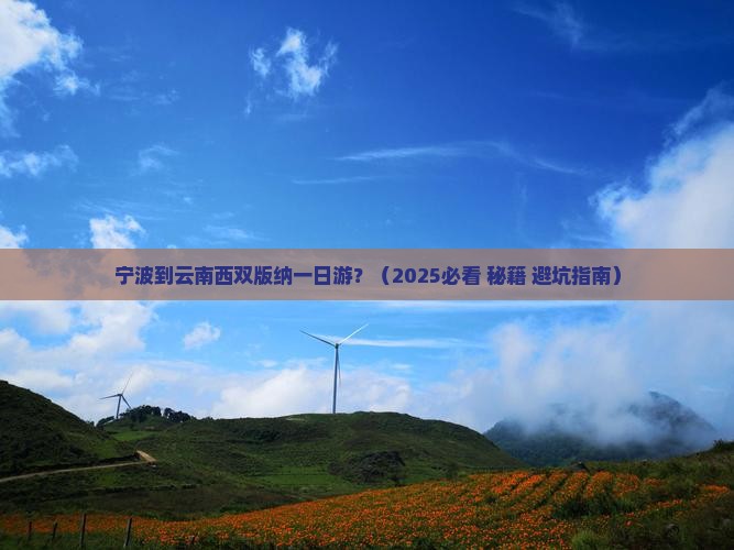 宁波到云南西双版纳一日