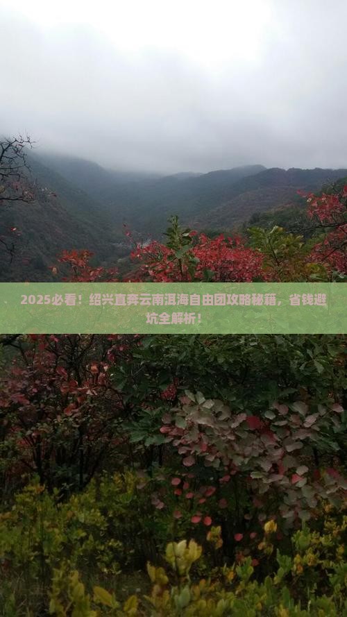 绍兴到云南洱海自由团