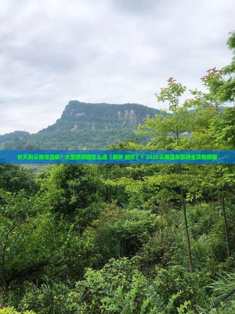 秋天到云南温泉大型旅游团