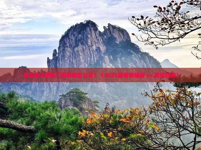 乌海市到云南大理门票