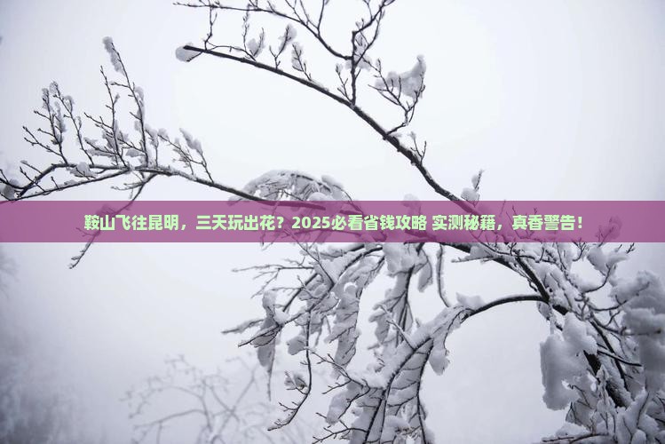 鞍山去云南昆明三日游