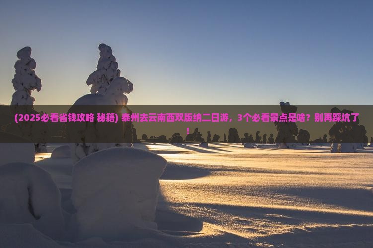 泰州去云南西双版纳二日游