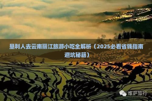 垦利去云南丽江旅游小吃