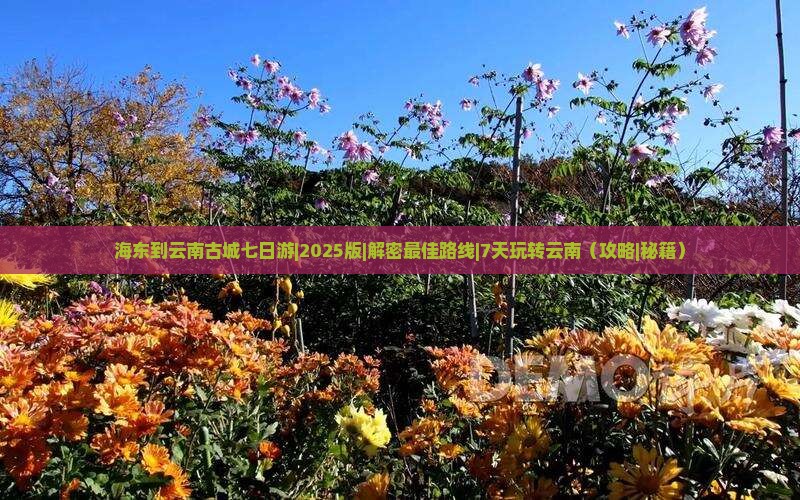 海东到云南古城七日游