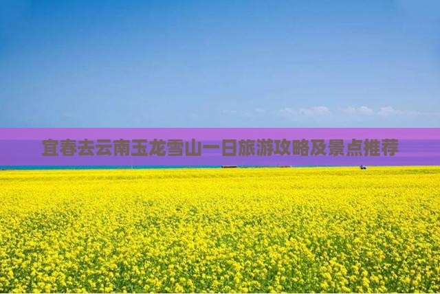宜春去云南玉龙雪山一日 宜春去云南玉龙雪山一日