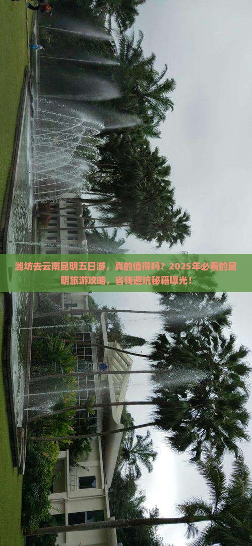 潍坊去云南昆明五日游