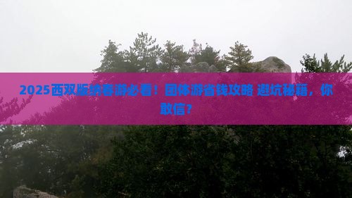 春天到云南西双版纳团体旅游