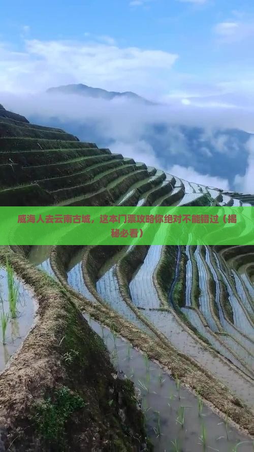 威海去云南古城门票