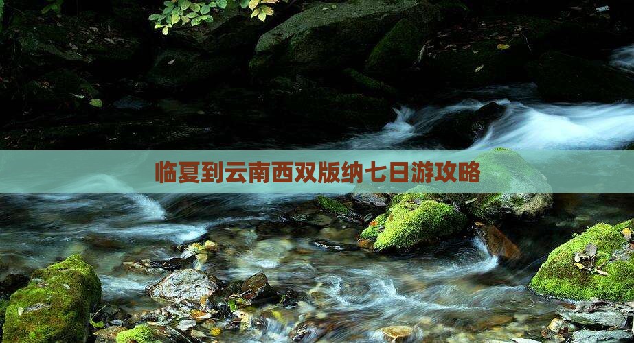 临夏去云南西双版纳七日游