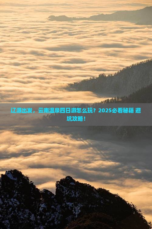 辽源到云南温泉四日游