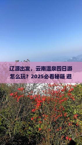 辽源到云南温泉四日游