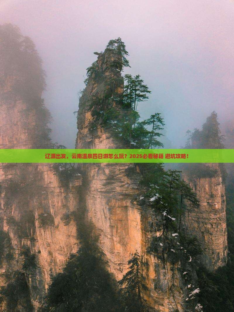辽源到云南温泉四日游
