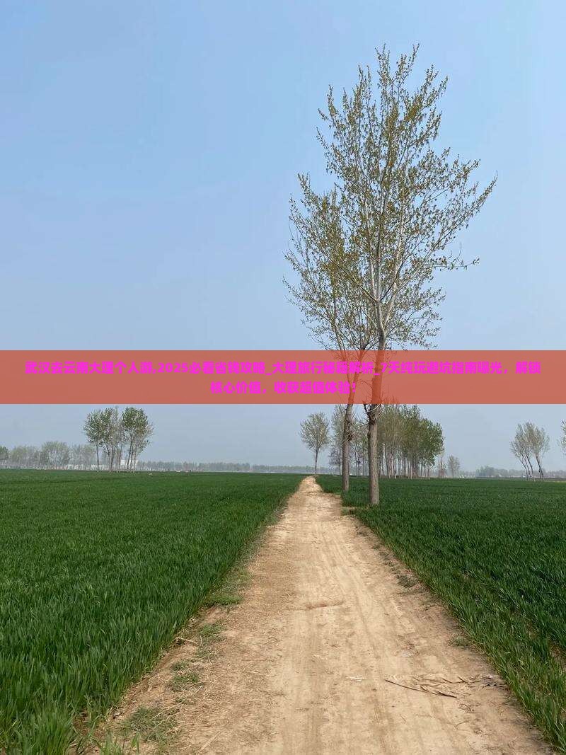 武汉去云南大理个人游