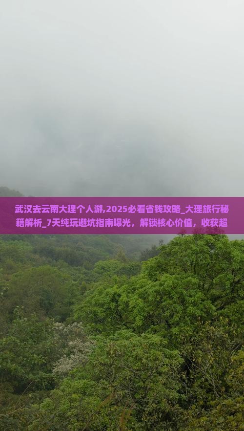 武汉去云南大理个人游