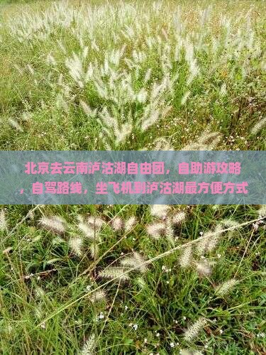 北京去云南泸沽湖自由团 北京去云南泸沽湖自由团