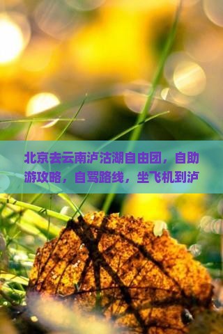北京去云南泸沽湖自由团 北京去云南泸沽湖自由团
