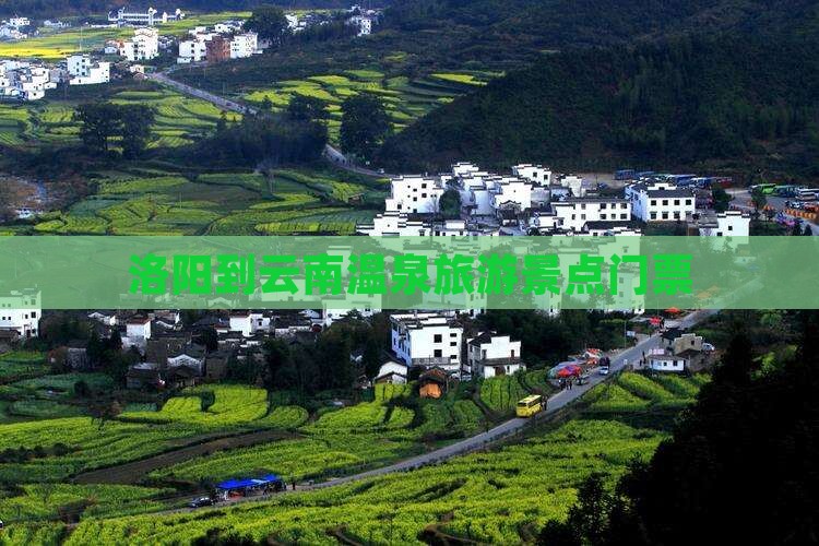 洛阳到云南温泉门票