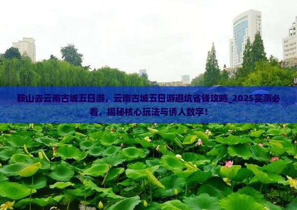 鞍山去云南古城五日游
