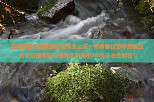 夏天去云南香格里拉景点