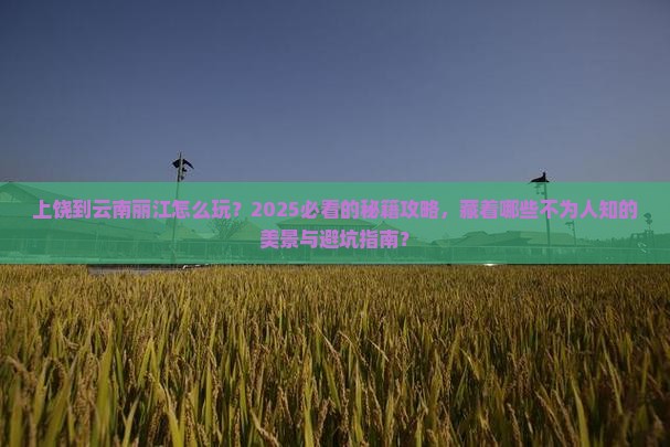 上饶到云南丽江哪里玩