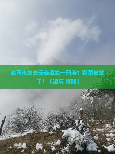 海西去云南洱海一日