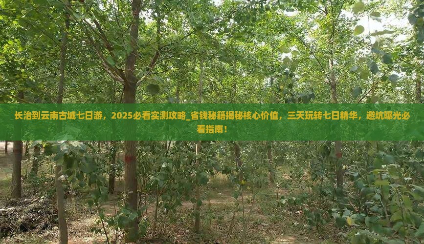 长治到云南古城七日游