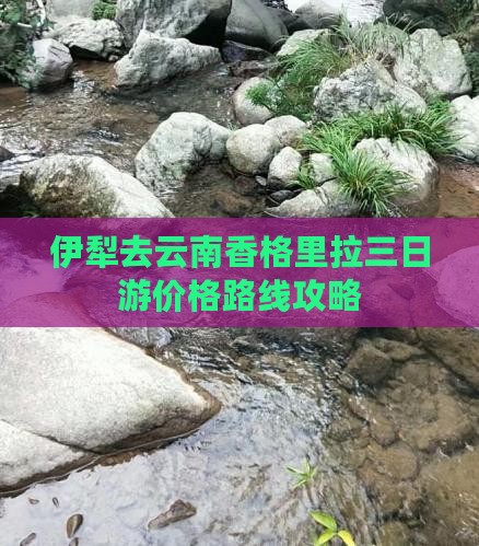 伊犁去云南香格里拉三日游