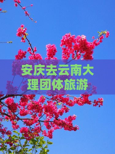安庆去云南大理团体旅游