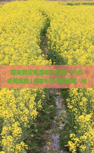 延安到云南温泉六日游