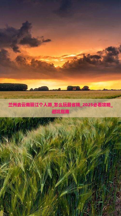 兰州去云南丽江个人游
