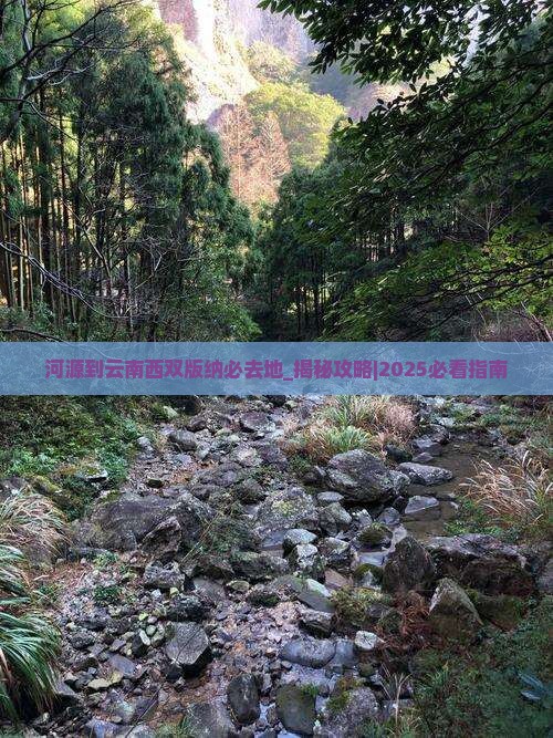 河源到云南西双版纳必去地