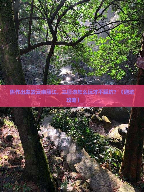焦作到云南丽江三日游