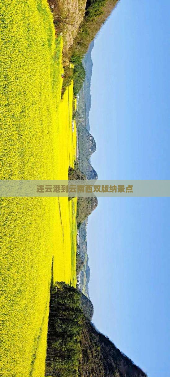 连云港到云南西双版纳景点
