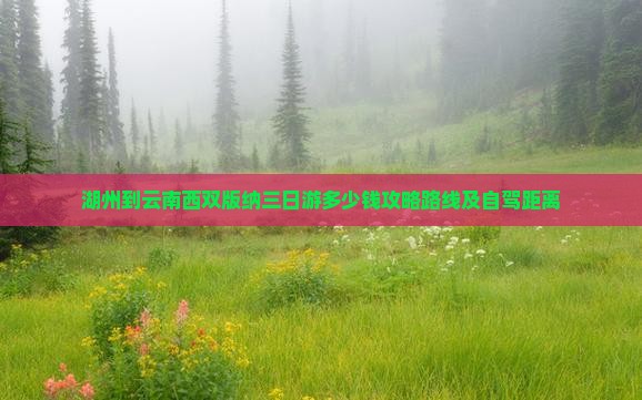 湖州到云南西双版纳三日游