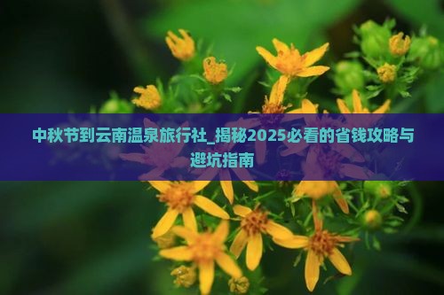 中秋节到云南温泉旅行社