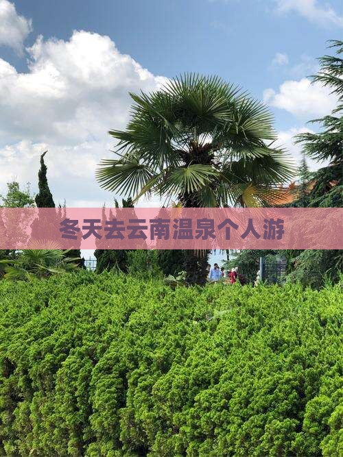 冬天去云南温泉个人游