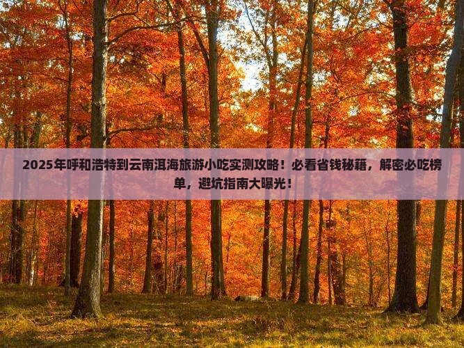 呼和浩特到云南洱海旅游小吃