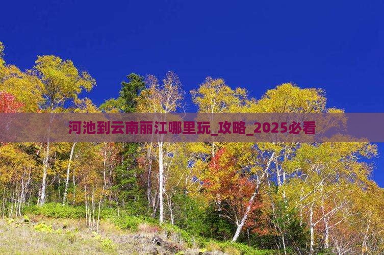河池到云南丽江哪里玩