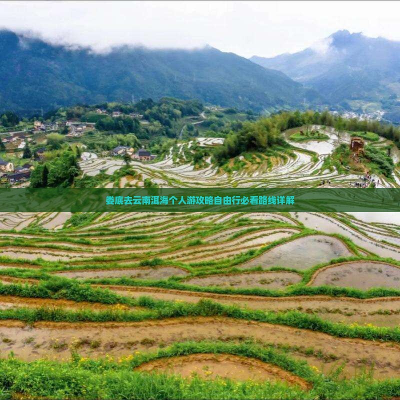 娄底去云南洱海个人游