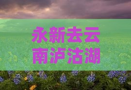 永新去云南泸沽湖四日游