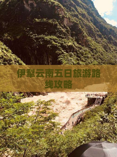 伊犁哈萨克去云南昆明五日游