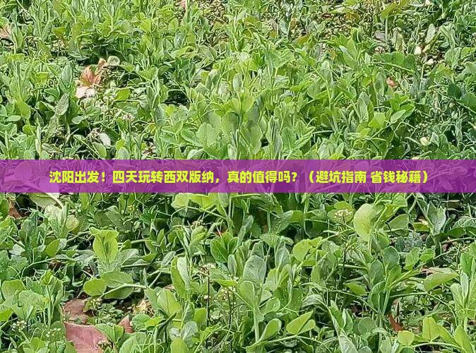 沈阳到云南西双版纳四日游