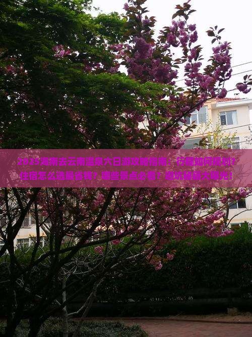 海南去云南温泉六日游