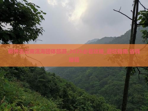 郴州去云南洱海团体旅游